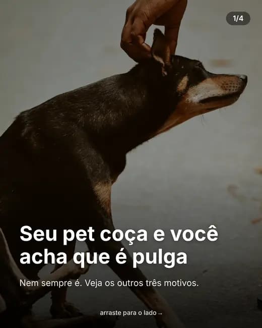 Exemplo de conteúdo no estilo Cinematográfico